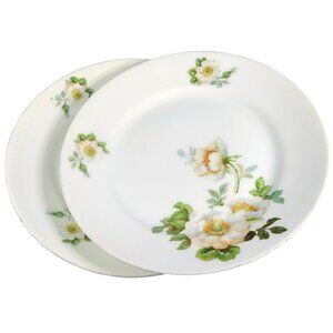 Koenigszelt Silesia Germany Wild Roses Set of 2 Antique 1920s Dessert Plates